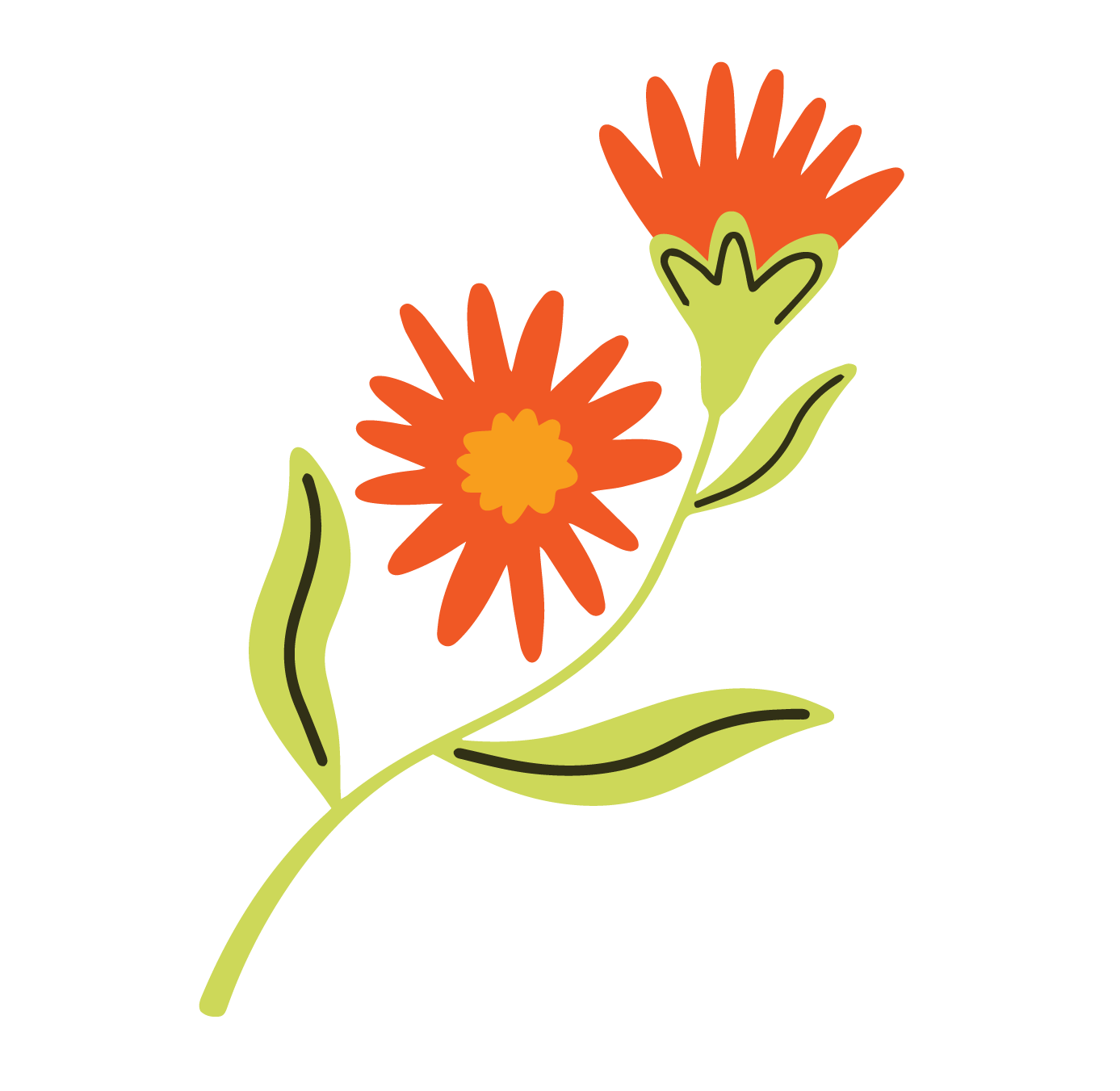 flower image